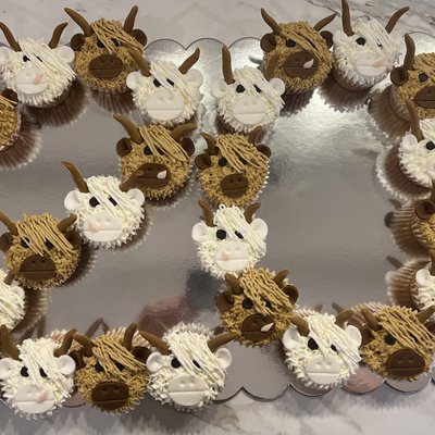 Dozen Cupcakes