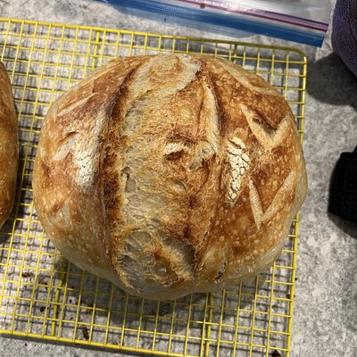 Traditional Sourdough Round Loaf