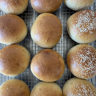 Burger/Dinner Buns