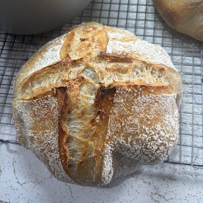Plain Sourdough 