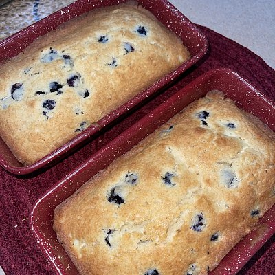 Blueberry Loaf