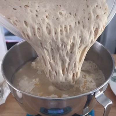 Ancient Heritage Organic Sourdough Starter