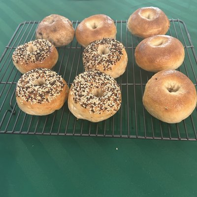 Sour Dough Plain Bagels