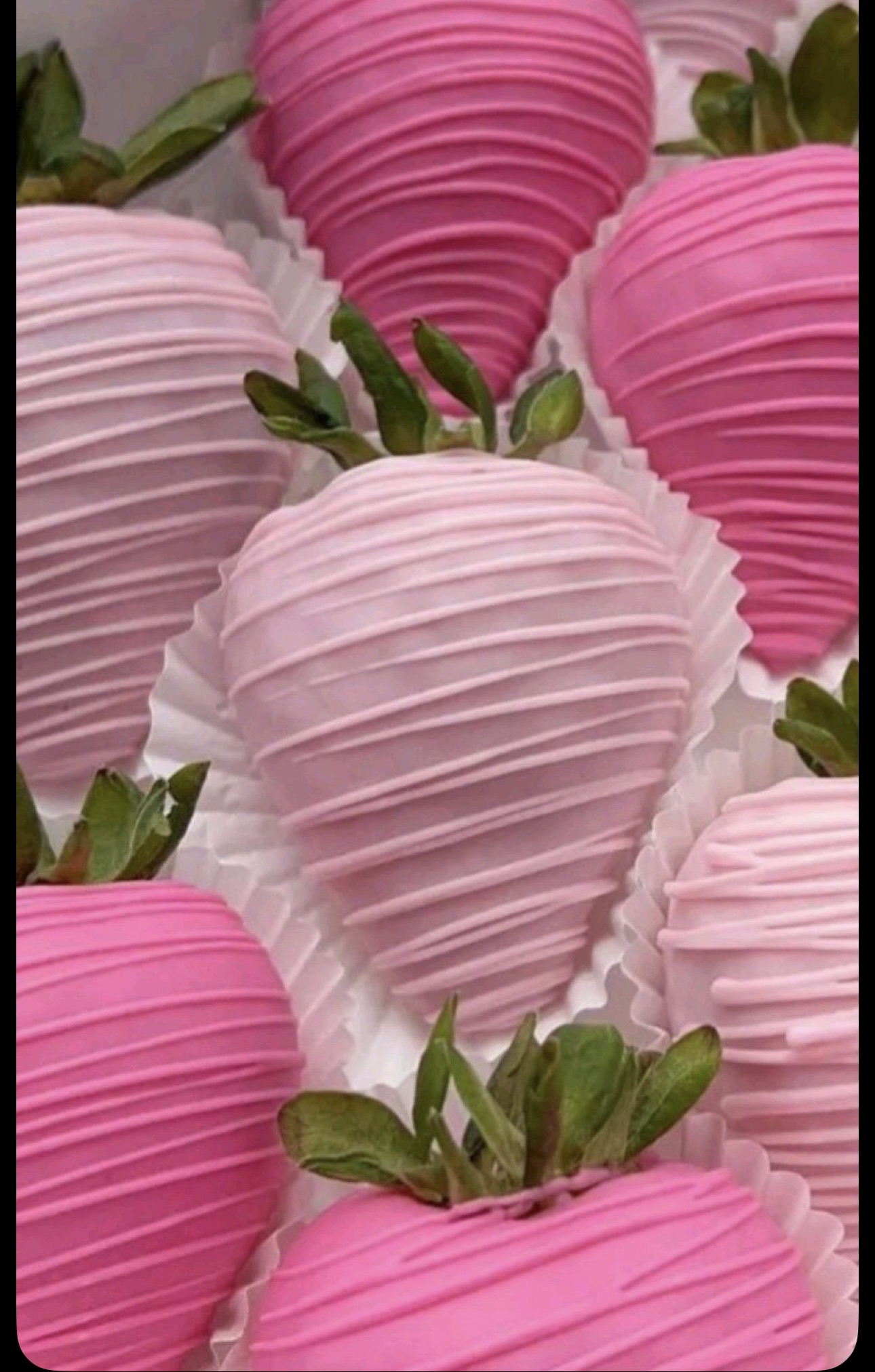 Chocolate Dipped Strawberries 