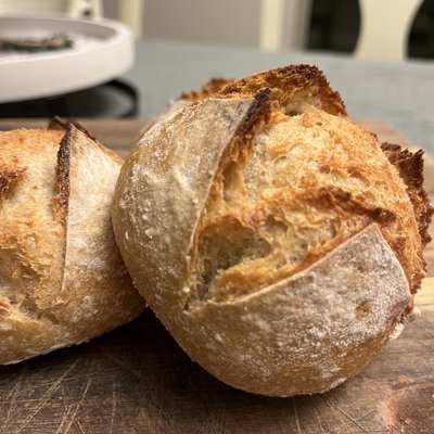 Sourdough Mini Loaves