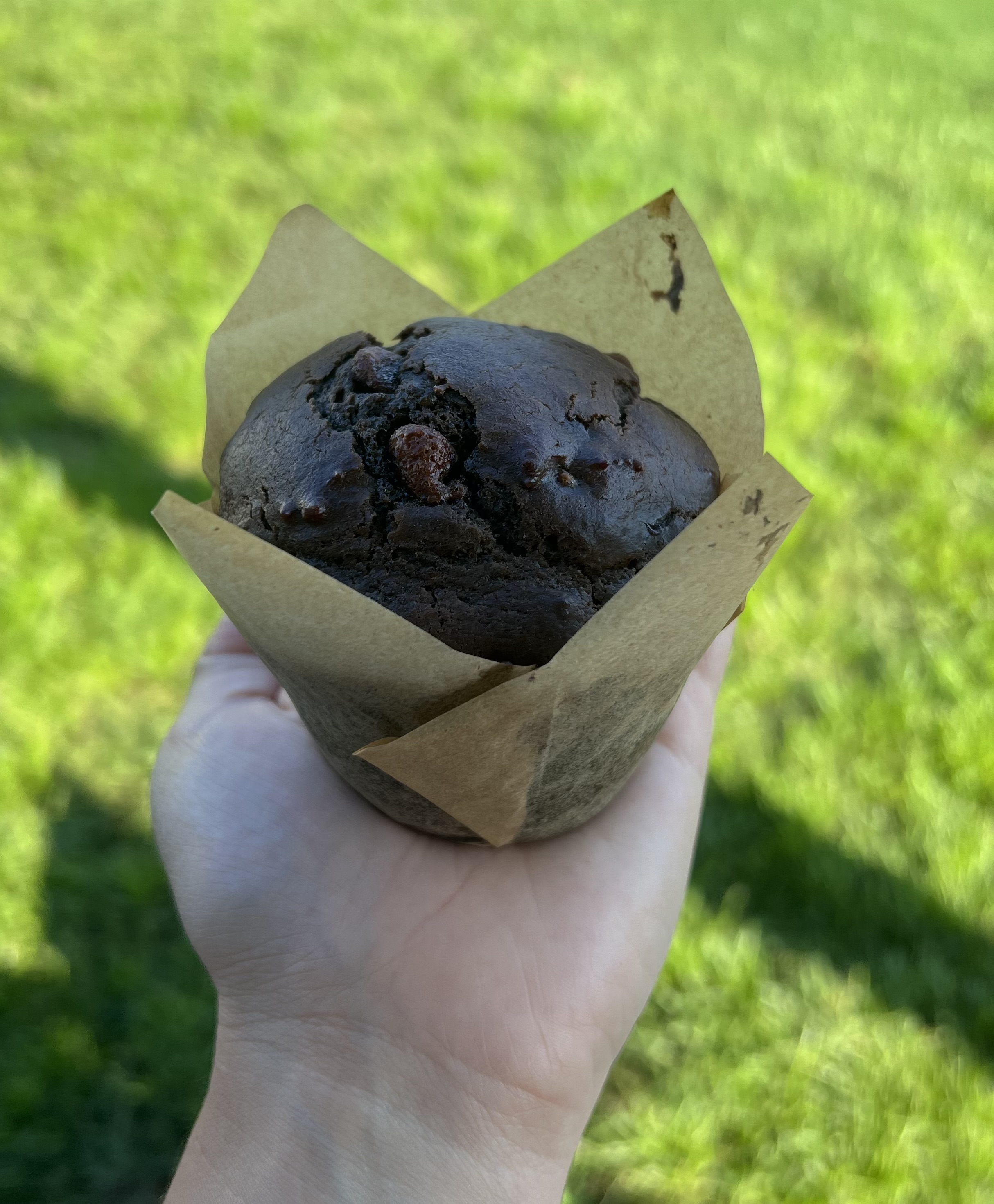 Double Chocolate Muffins 