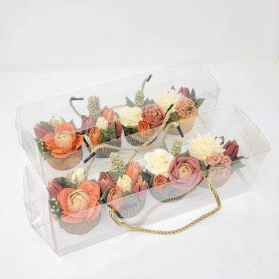 Clear Cupcake Box (2 Minimum)