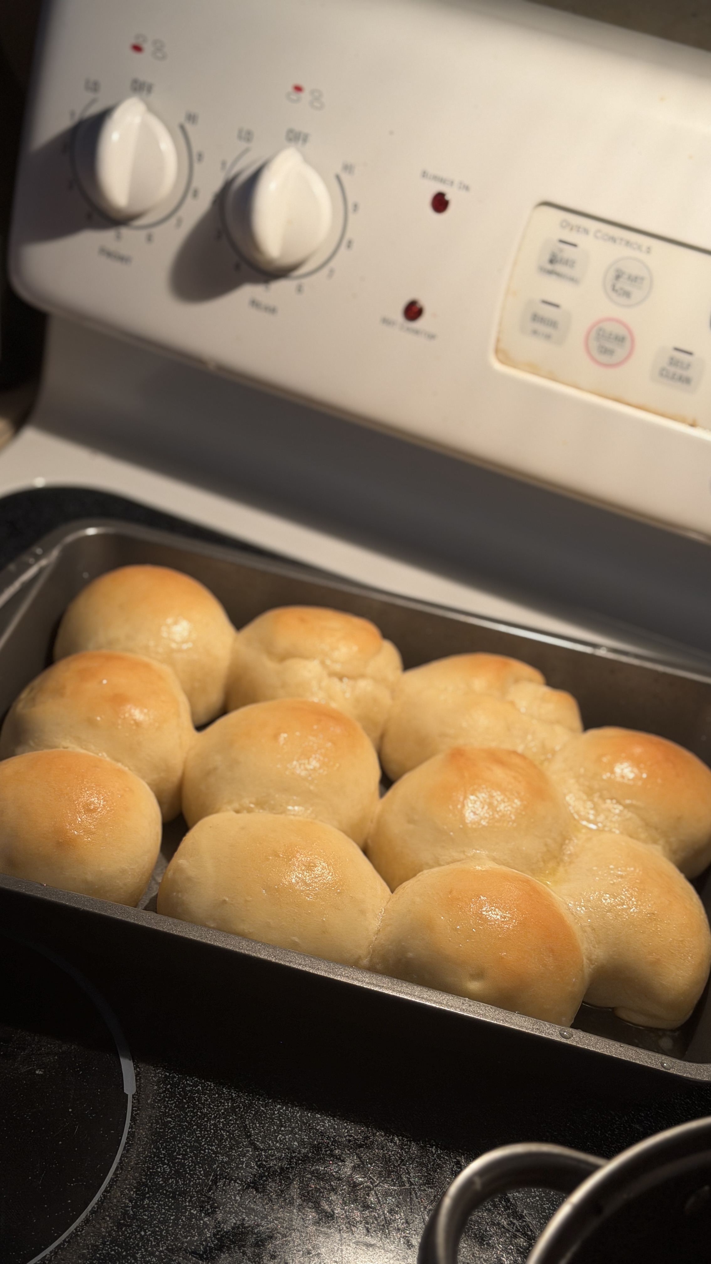Rolls(12 Pack)