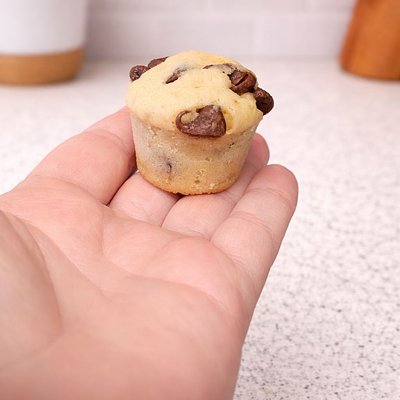 Chocolate Chip Muffins (6)