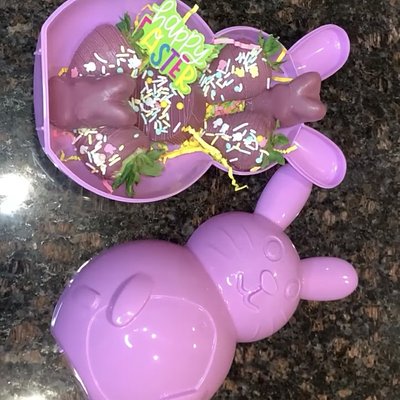 EASTER Bunny or Egg