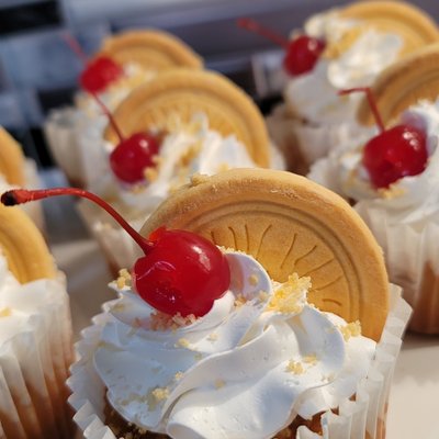 Gourmet Cupcake Box 4 For 15