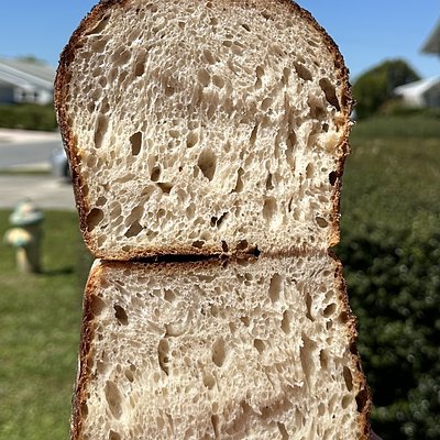 Sourdough Sandwich Bread Loaf