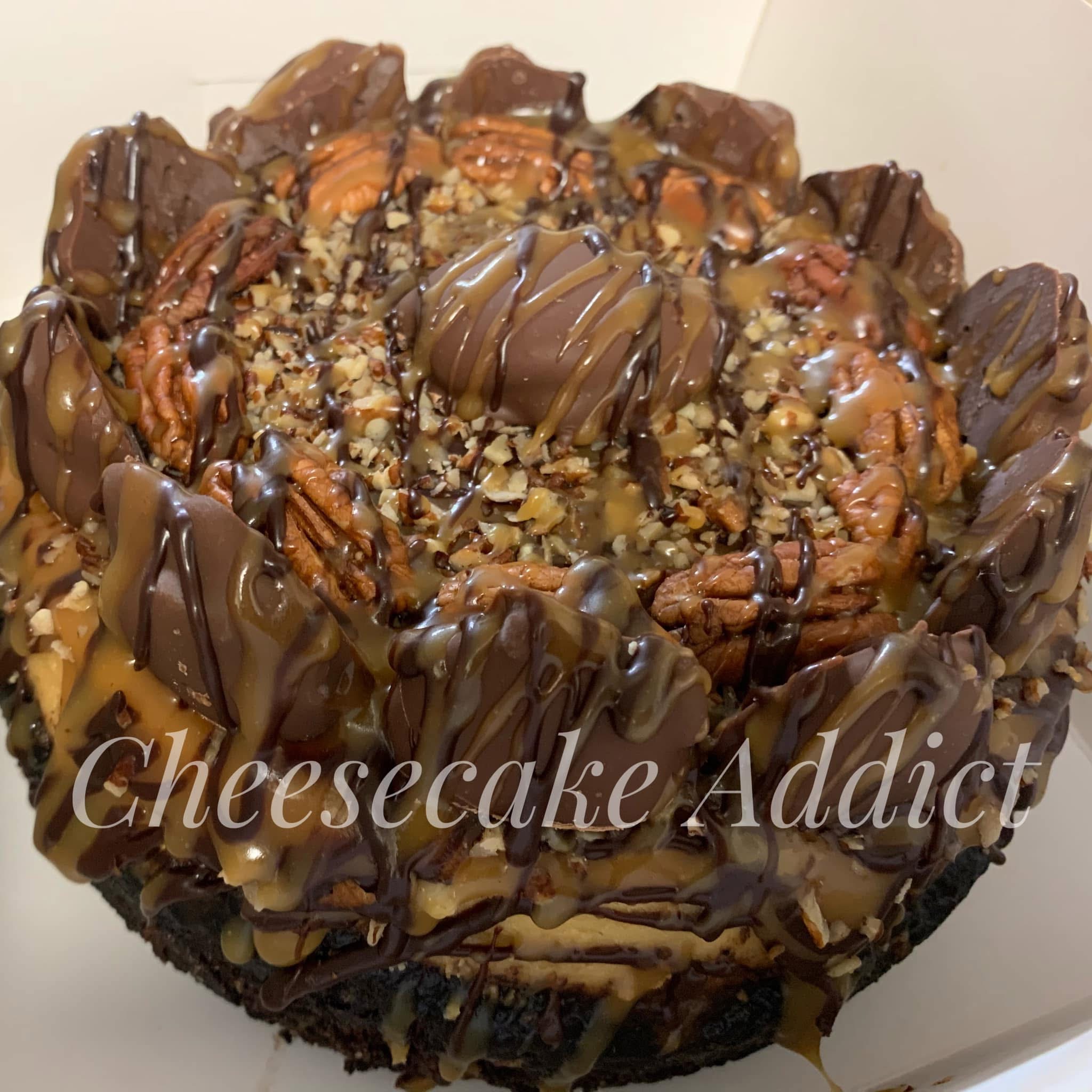 Turtle Cheesecake 