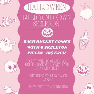 Build Your Own Skeleton!