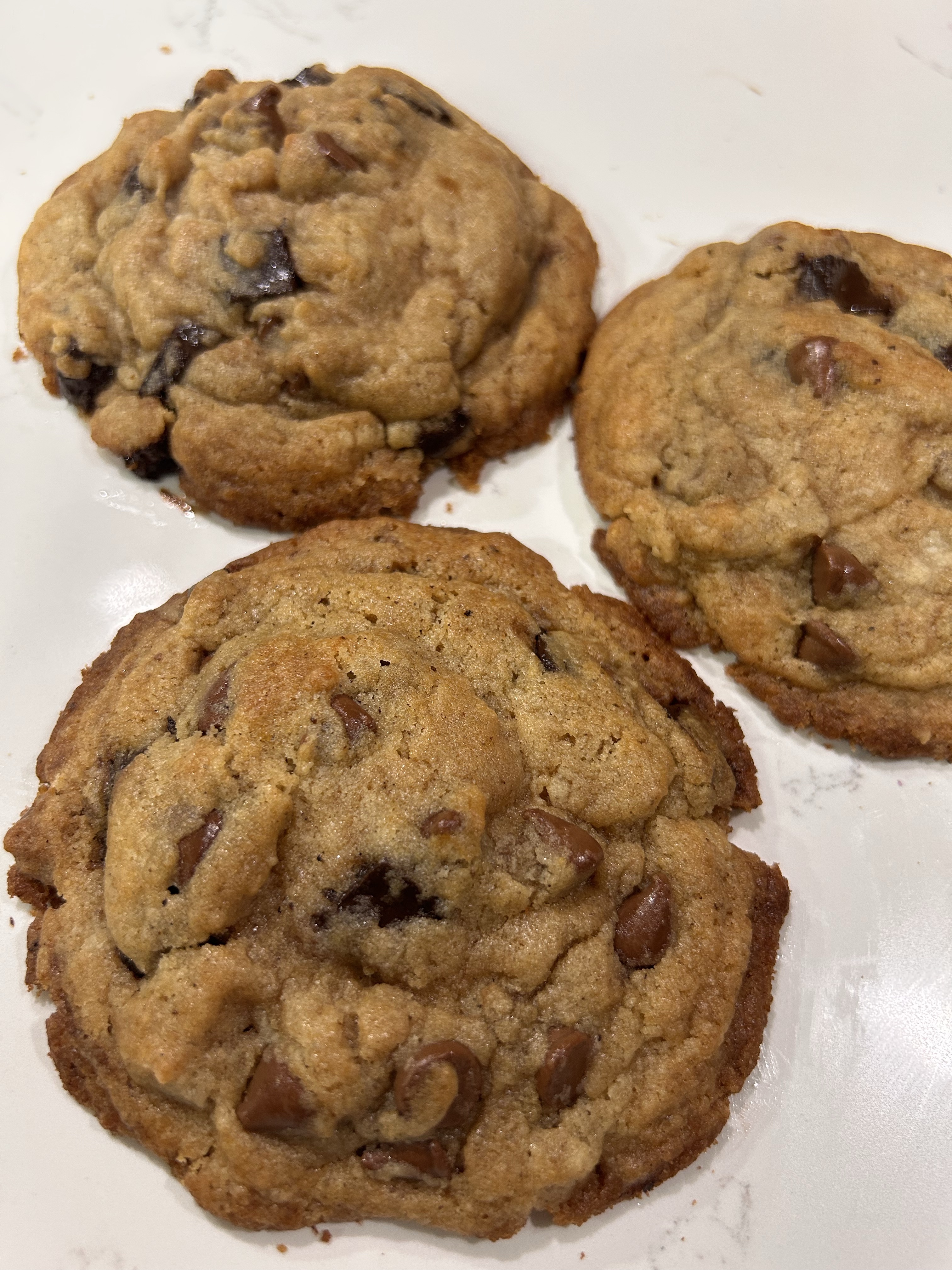 3-Pack - Chocolate Chip Sourdough Cookies