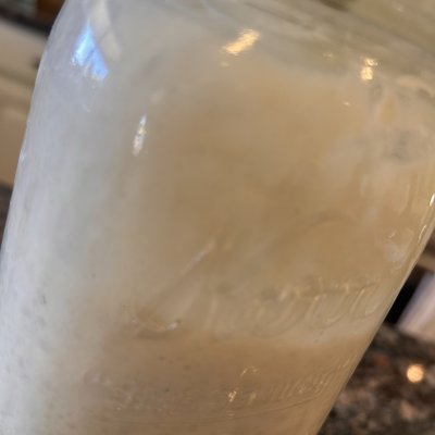 Fresh Sourdough Starter