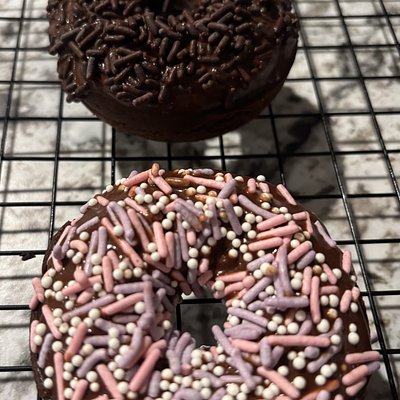 Savannah Gals Chocolate Donut