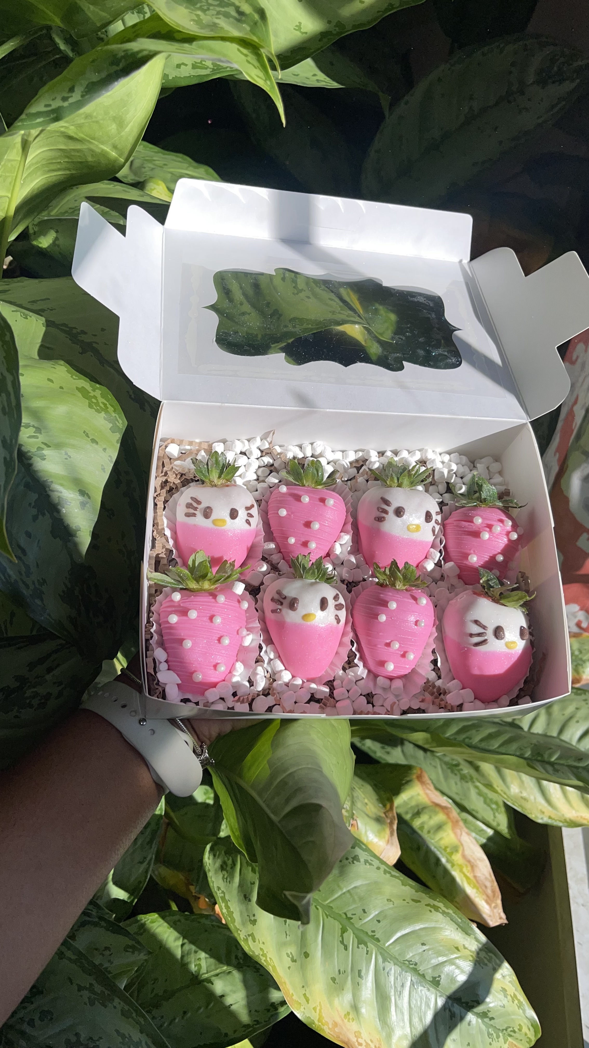 8 Chocolate Covered Strawberries 