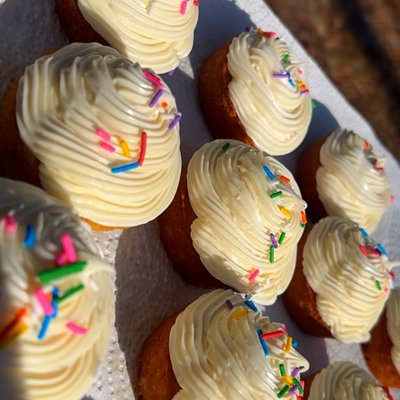 Vanilla Bean Cupcakes 6 Count 🧁