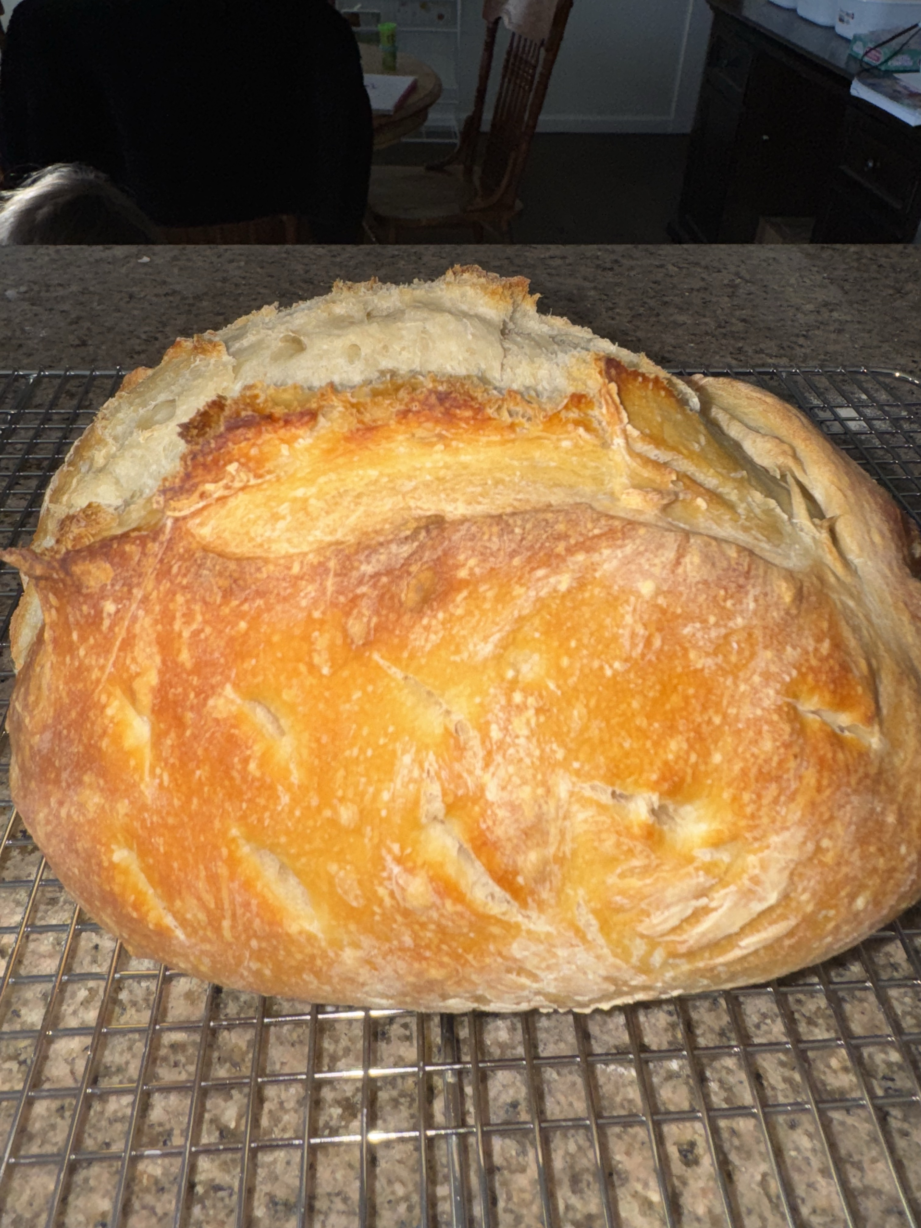 Sourdough Bread