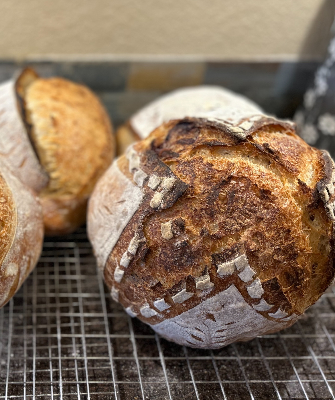 Cranberry Pecan Sourdough 