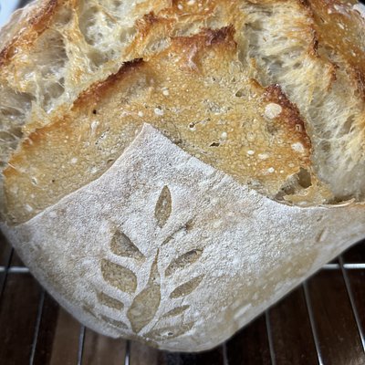 Original Sourdough