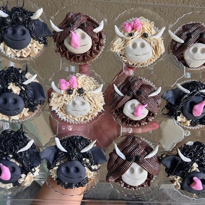 Custom Cupcakes (Topper, Fondant, Designs )