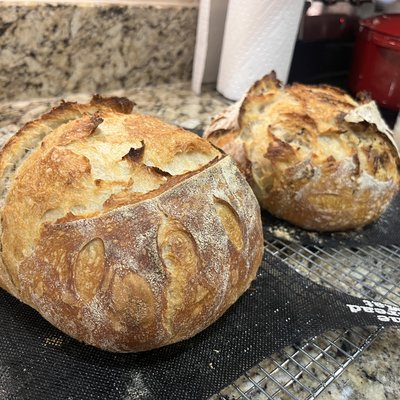 Signature Sourdough 
