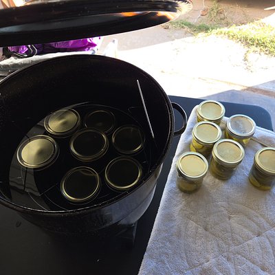 Apples - Canned