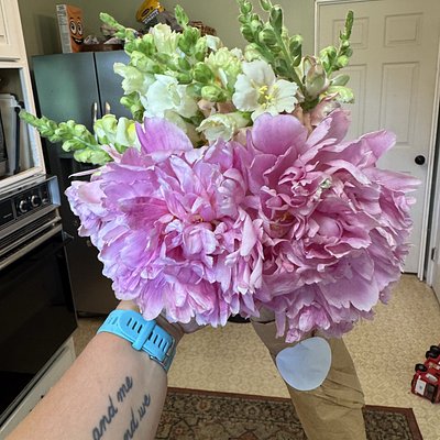 Peony Jelly 