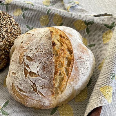 Classic Sourdough 