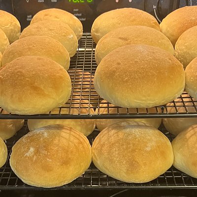 SD Hamburger  Buns 8ct