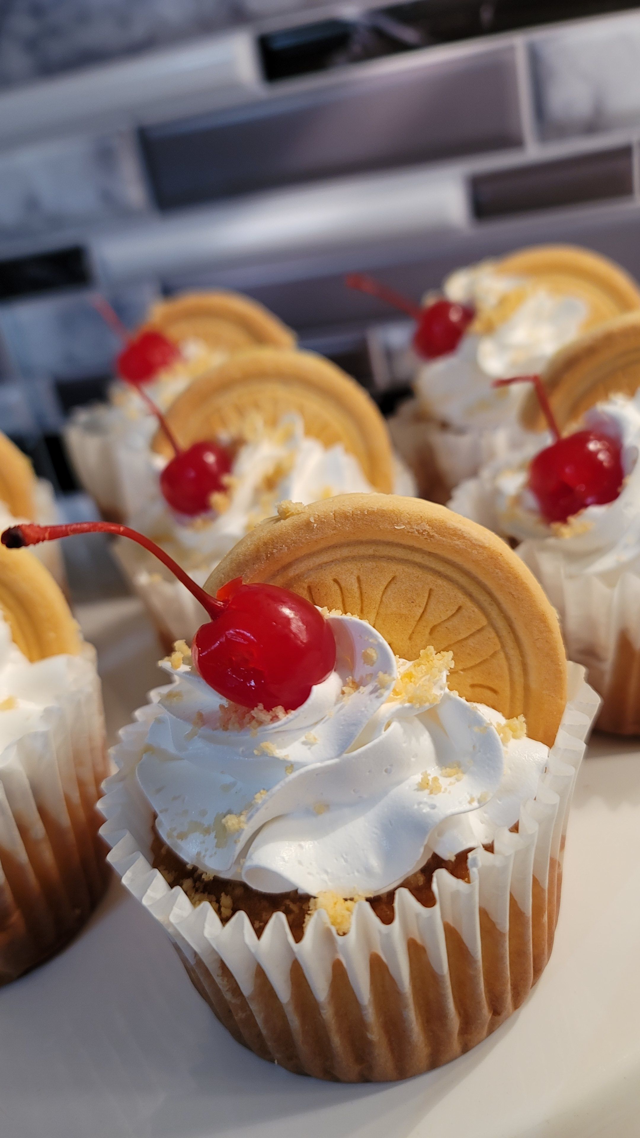 Gourmet Cupcake Box 4 For 15
