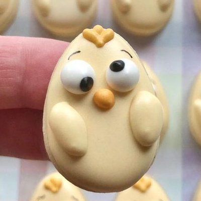 Silly Chicks Sugar Cookies