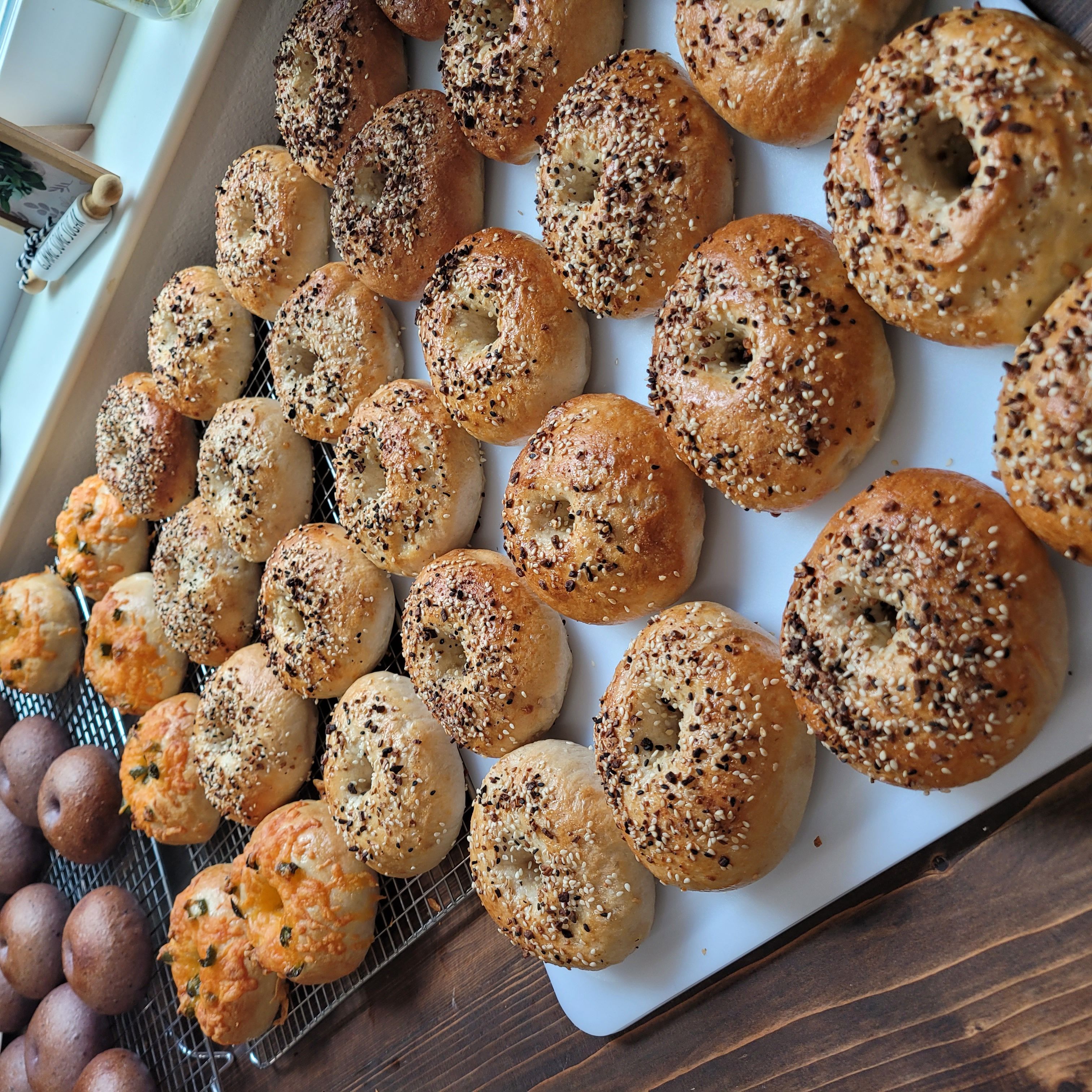 Sourdough Bagels (Plain, Everything, Jalapeño Cheddar) 