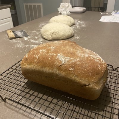 Honey Wheat Sandwich Loaf