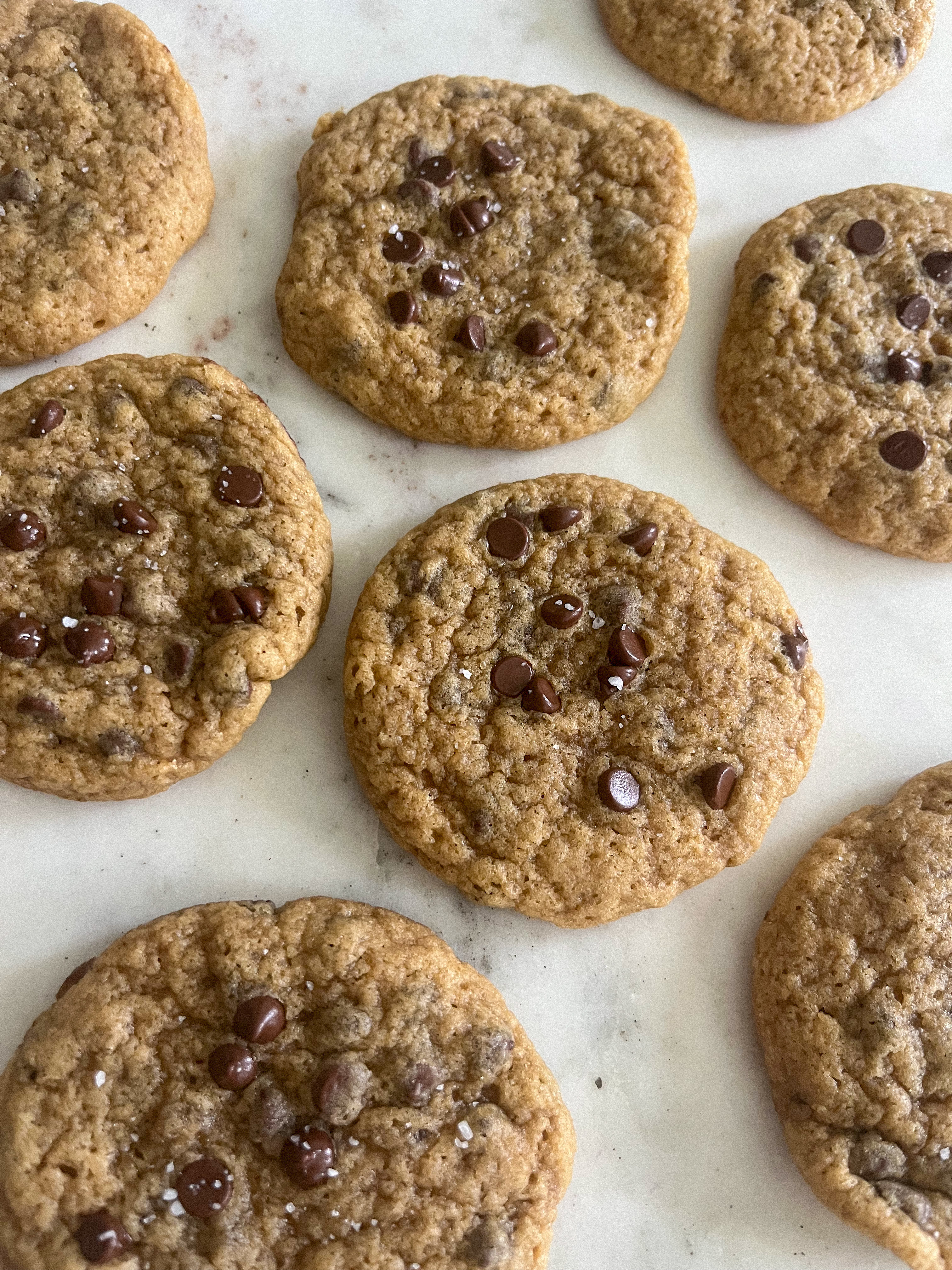 Sourdough Chocolate Chip Cookies (6ct)