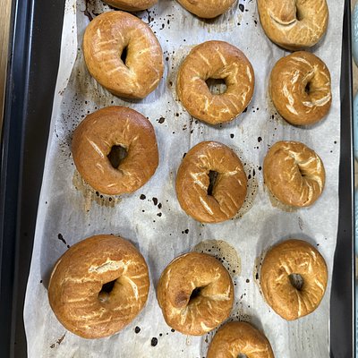 Plain Bagels