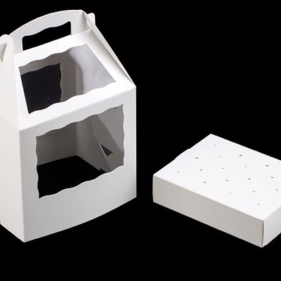 Cake Pop Stand With Cover