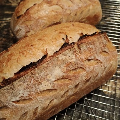 Signature Sourdough Loaf 