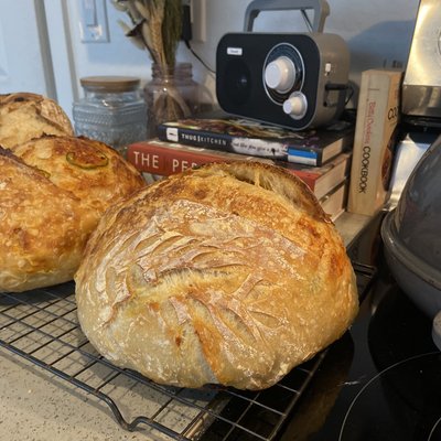 Plain Sourdough Loaf