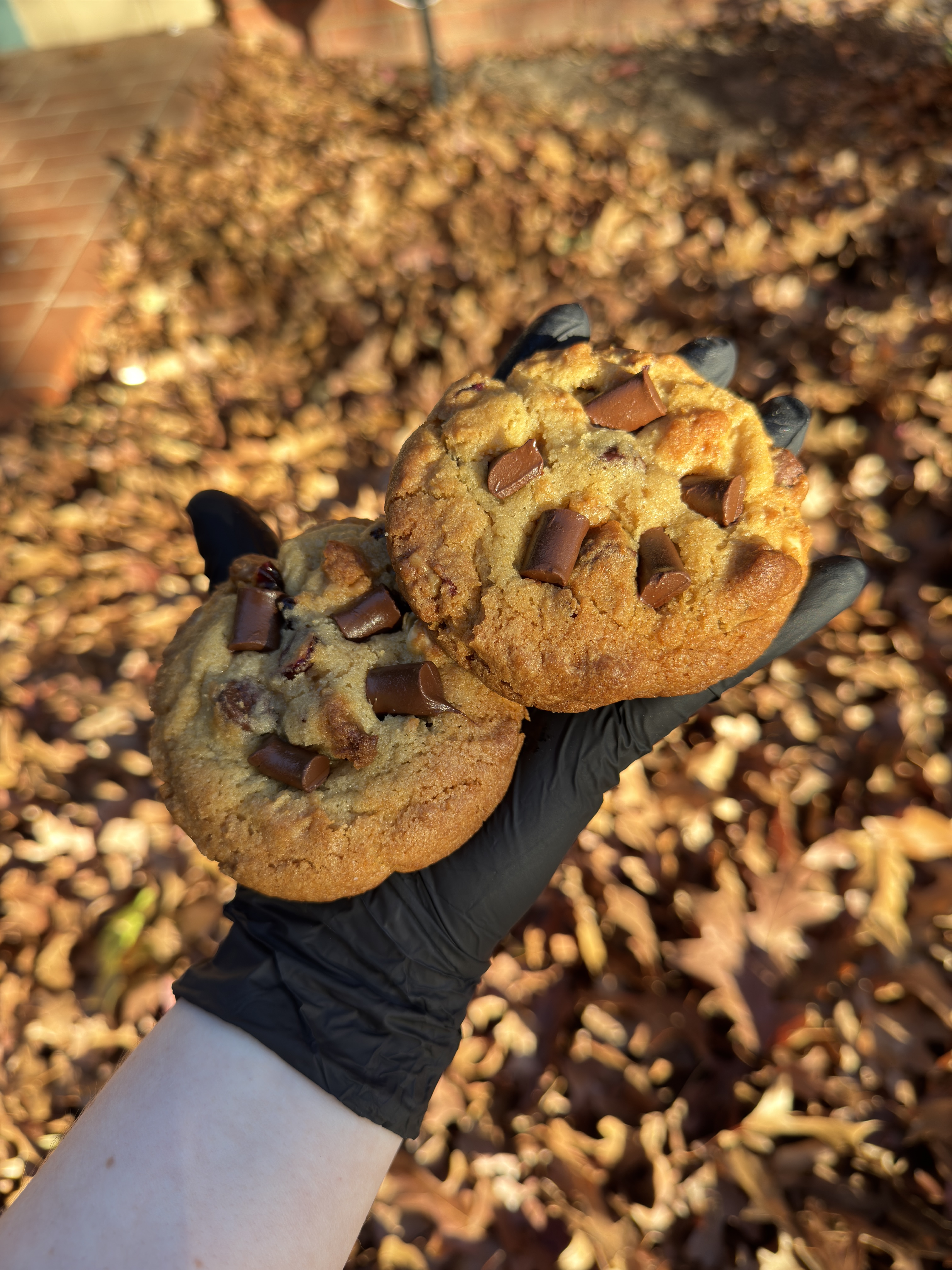 Gourmet Chocolate Chunk Cookie (Single)