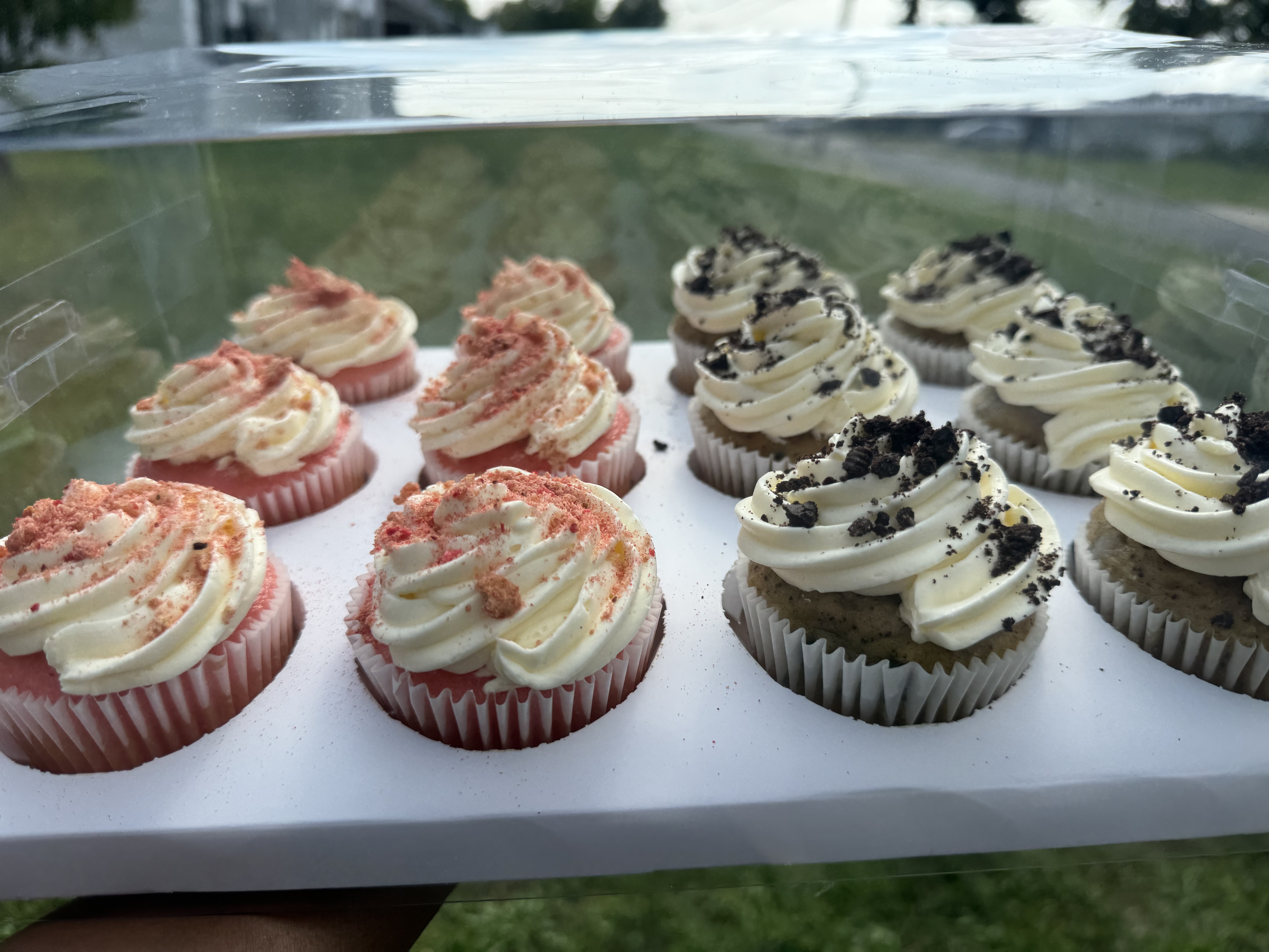 Dozen Cupcakes 