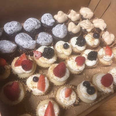 Mini Cupcakes 