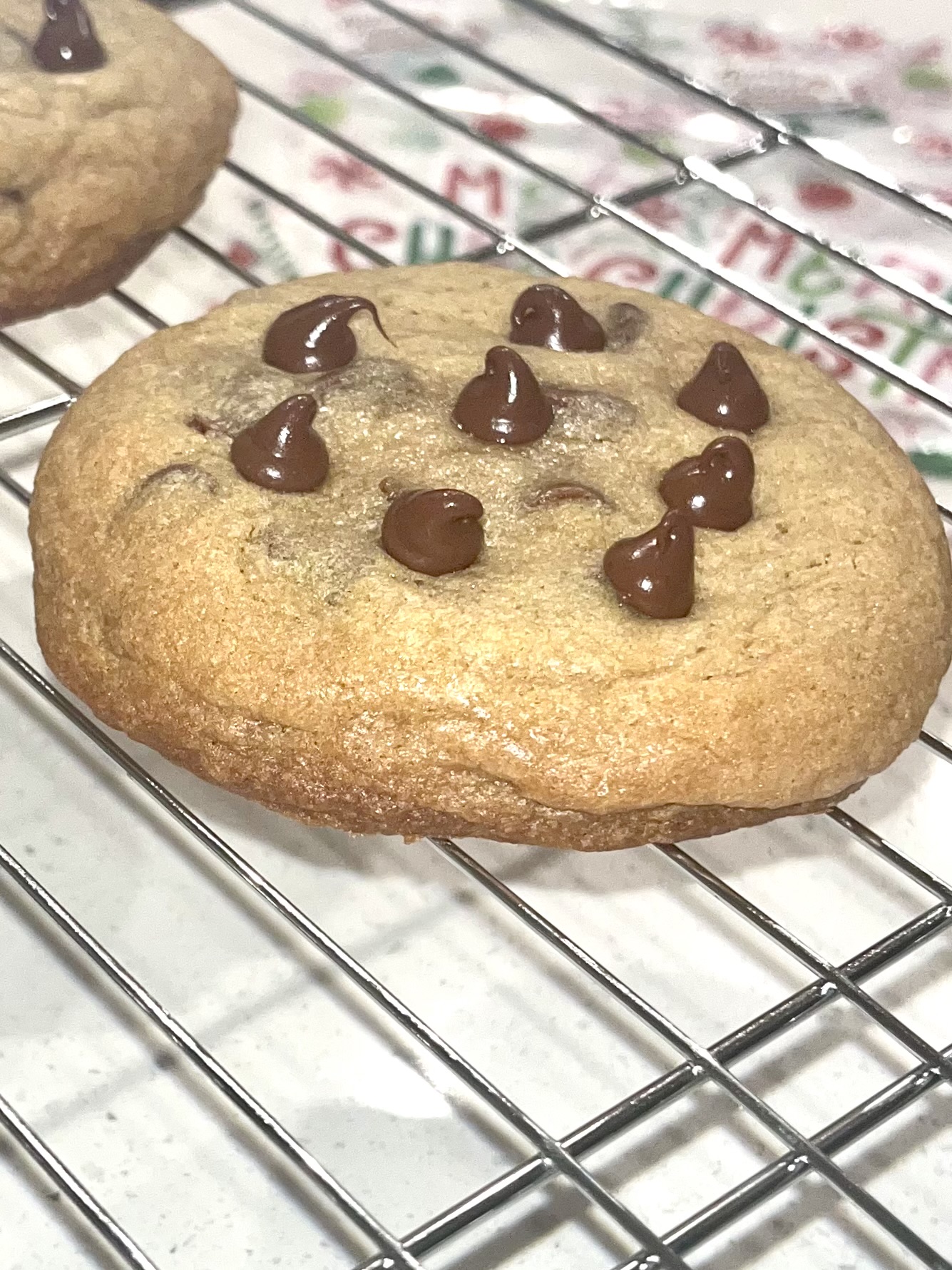 Chocolate Chip