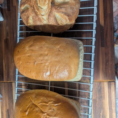 Brioche Sourdough Loaf