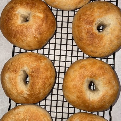 CLASSIC (plain Jane) Sourdough Bagels 4cnt