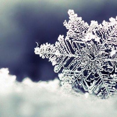 Christmas Bento Cakes (pictures Coming Soon!)