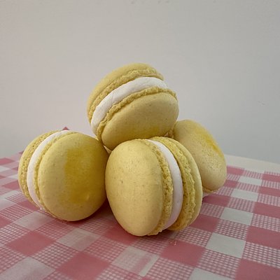 Macaron 12-pack