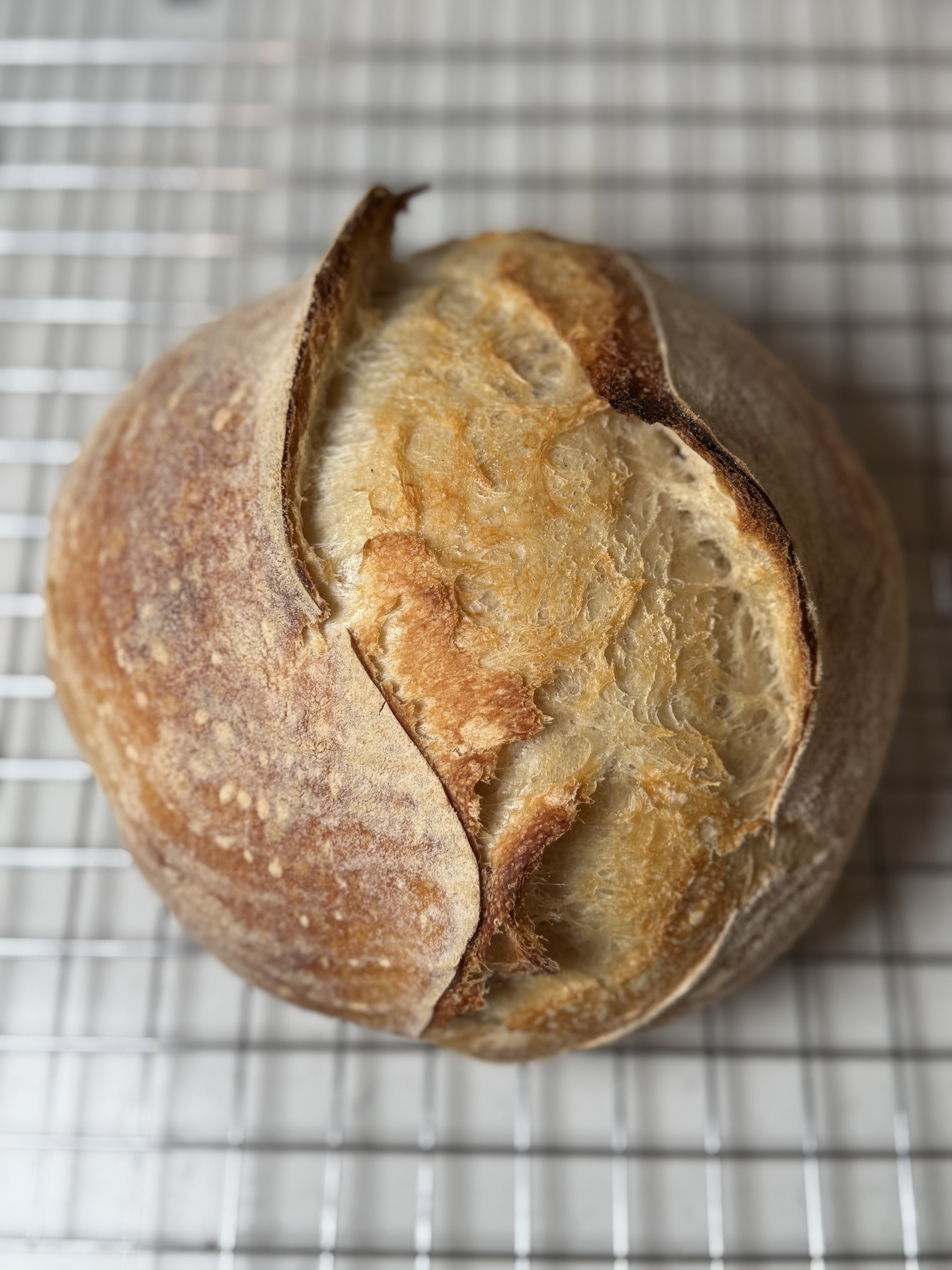 Organic Sourdough Bread